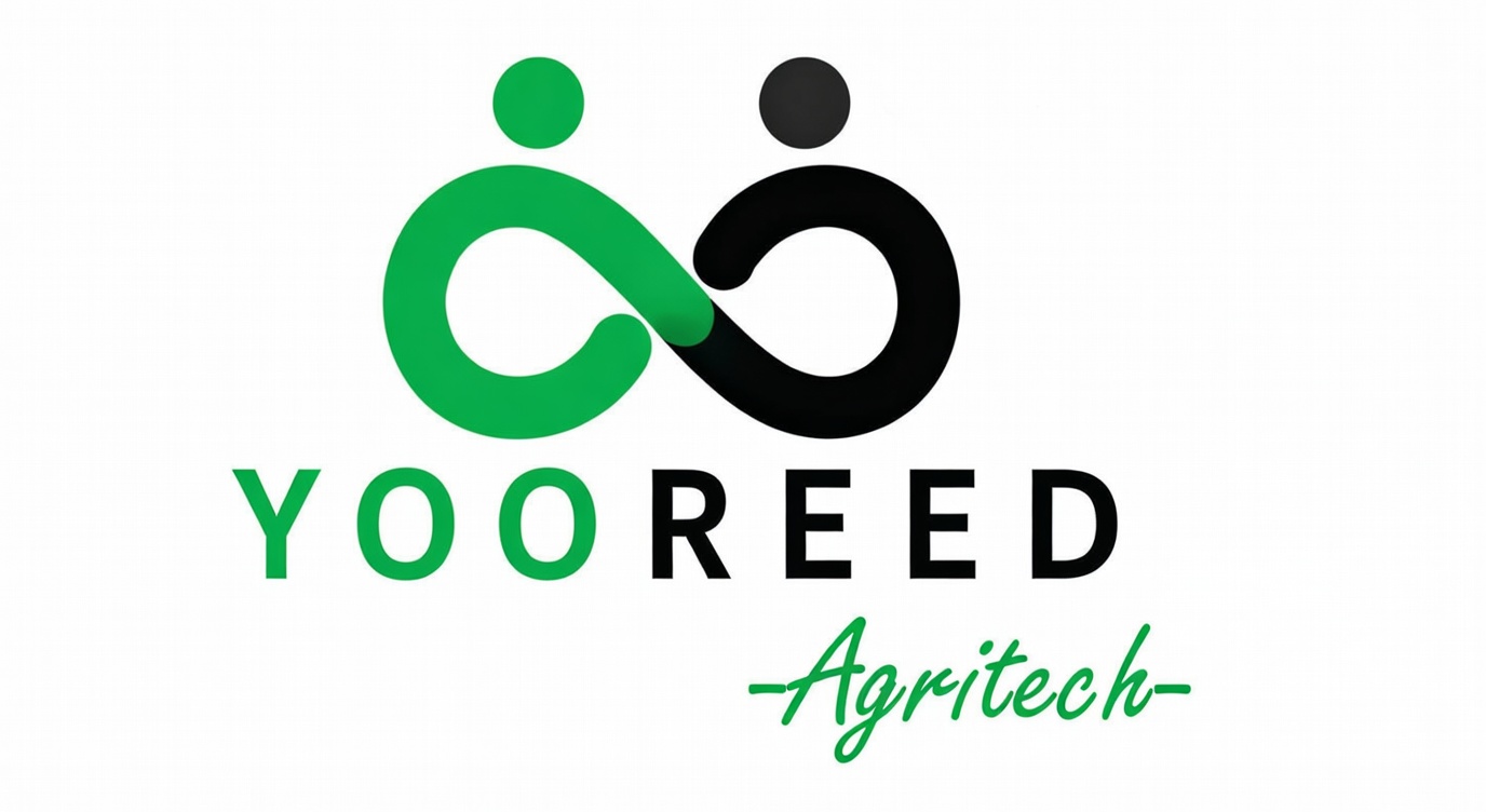 YOOREED Logo